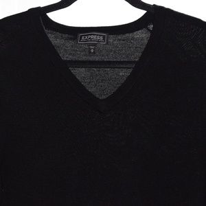 Express Medium Extra Fine Merion Wool Long Sleeve